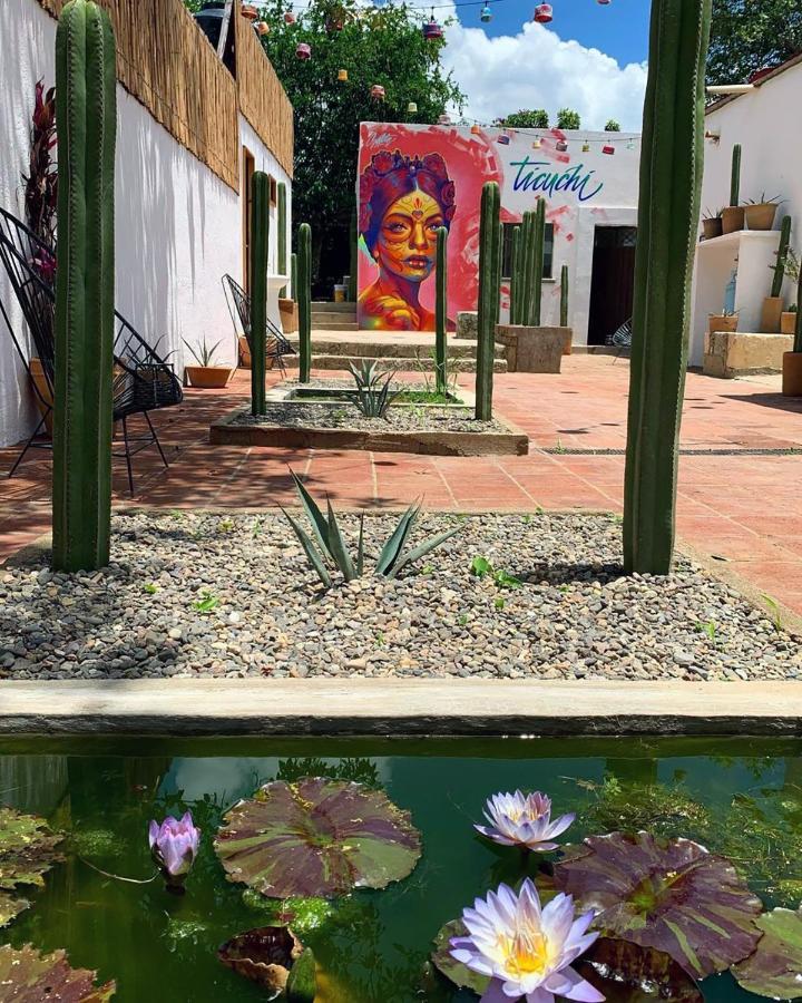 Oaxaca Ticuchi Hostal المظهر الخارجي الصورة